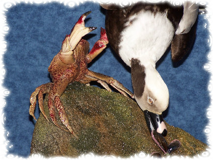 wildfowltax001001.jpg