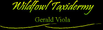 wildfowltax001011.jpg