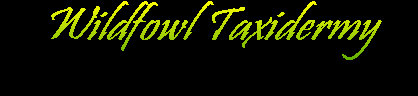 wildfowltax001014.jpg